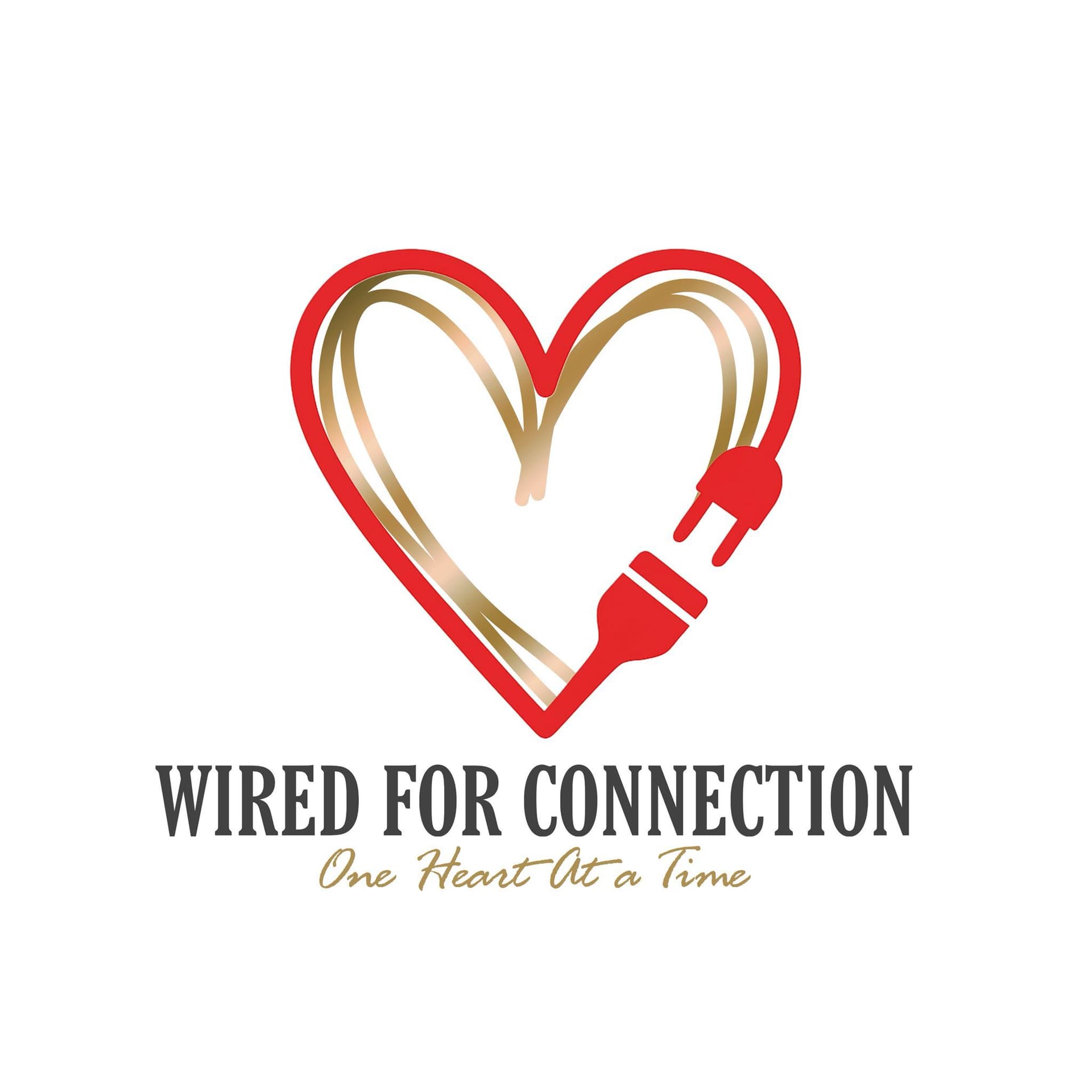 Healing Wings Inauguration Fundraising Gala